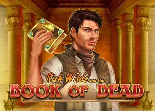Book Of Dead - Playngo
